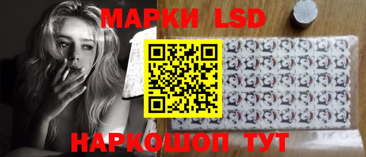 Альфа ПВП Гатчина