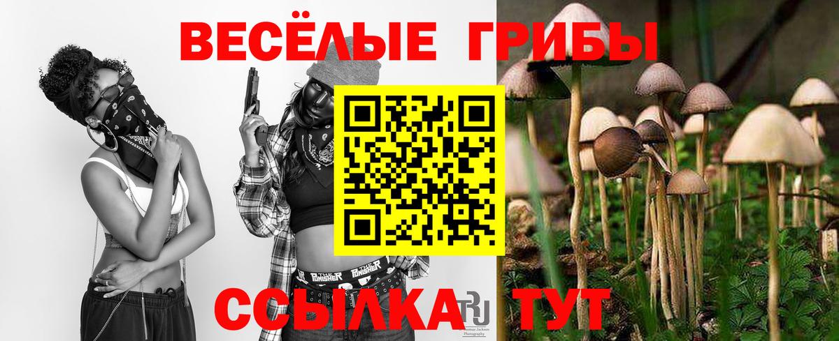 Гатчина  купить  сайты  Вход с VPN  Галлюциногенные грибы Magic Shrooms  Галлюциногенные грибы ЛСД 