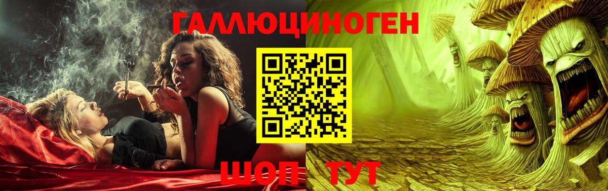 Галлюциногенные грибы GOLDEN TEACHER Гатчина